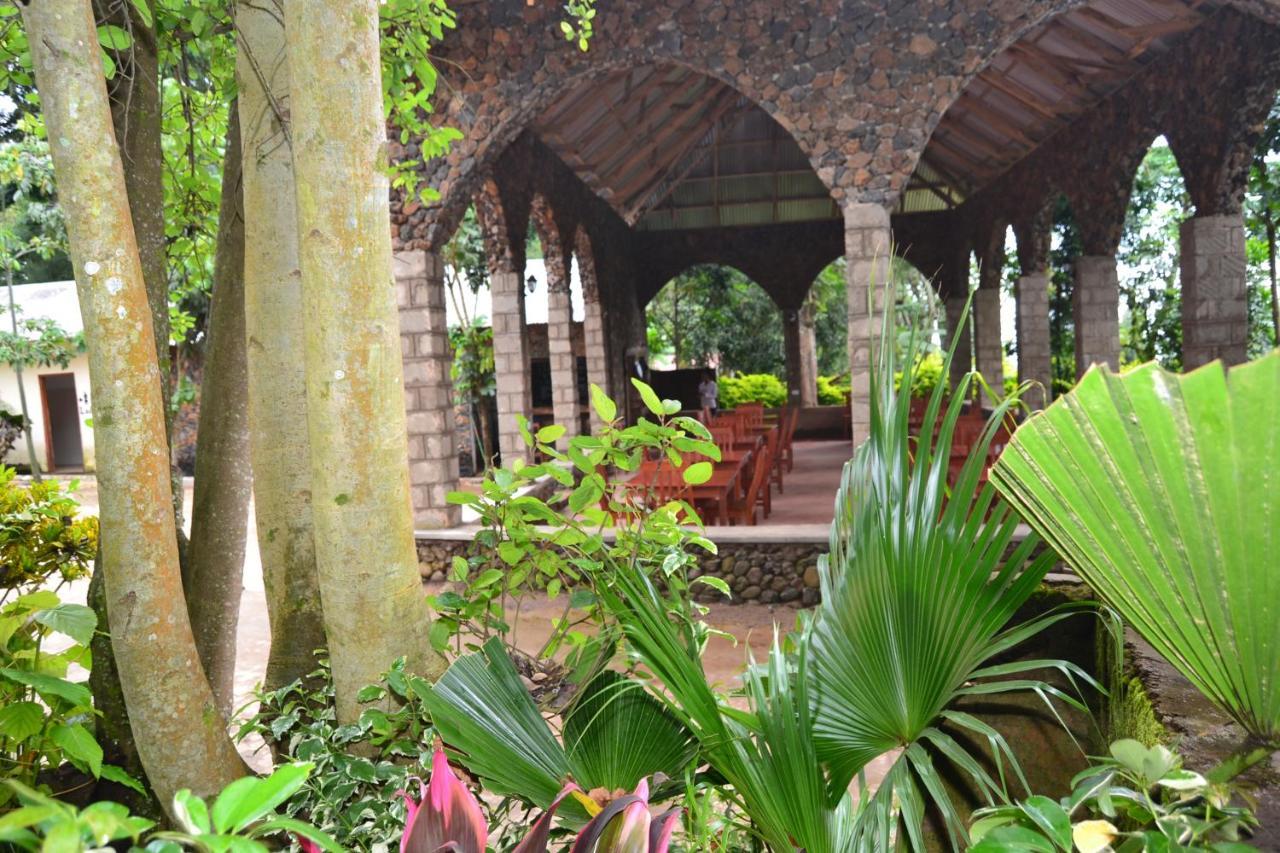 Serene Mountain Lodge Marangu Extérieur photo